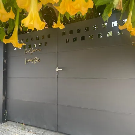 Casa Boheme 圣苏珊娜